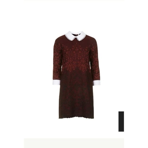 Top Shop Dress Embroidered SZ 12 Peter Pan Collar Twee Academia Wednesday Adams - Picture 14 of 14